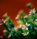 blog-img1